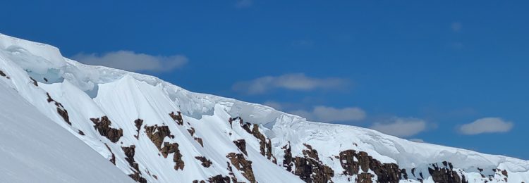 52004697118_5d48d9eaa9_o