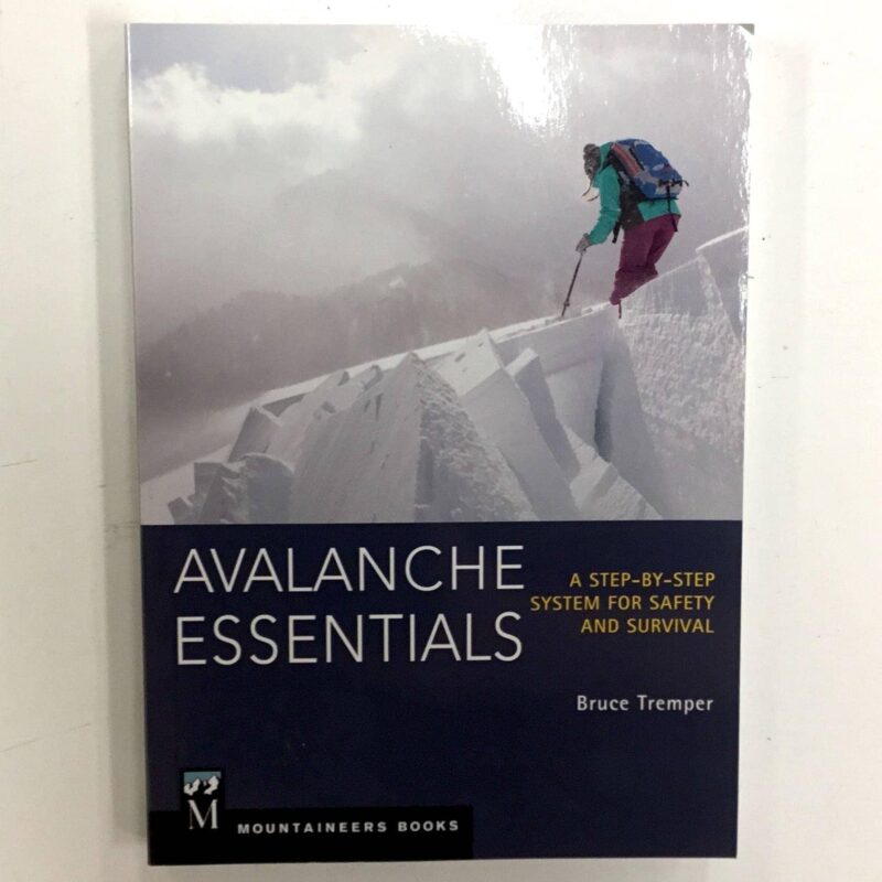 Avalanche Essentials book