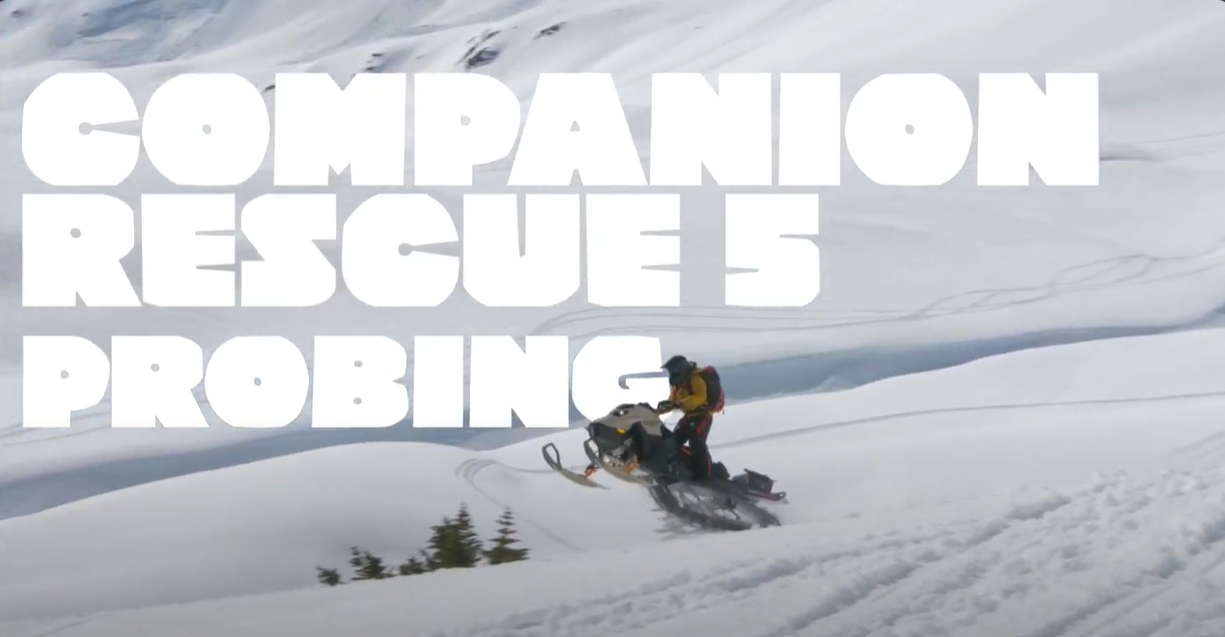 Série Companion Rescue // 5. Probing par Avalanche Canada (EN)