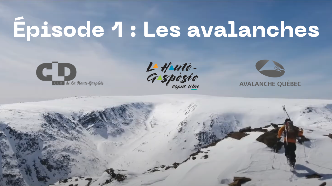 Épisode 1 : Les avalanches