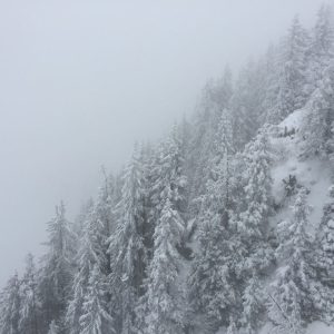 ski_printemps_2