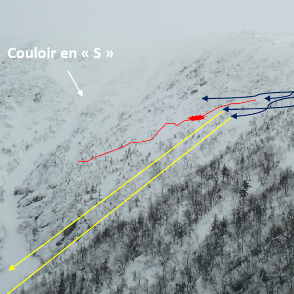 Capture étude de cas MM flèches