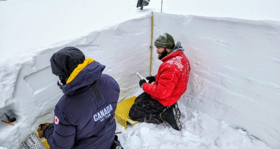 Niveau 1 Profil de neige