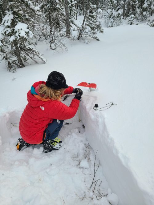 Petit profil de neige