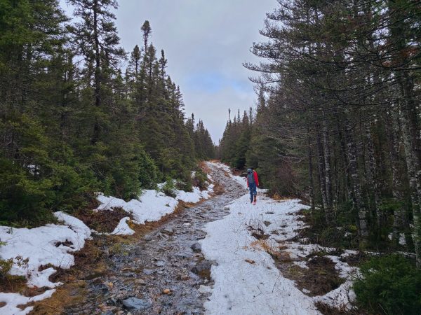 Déplacement sous la pluie